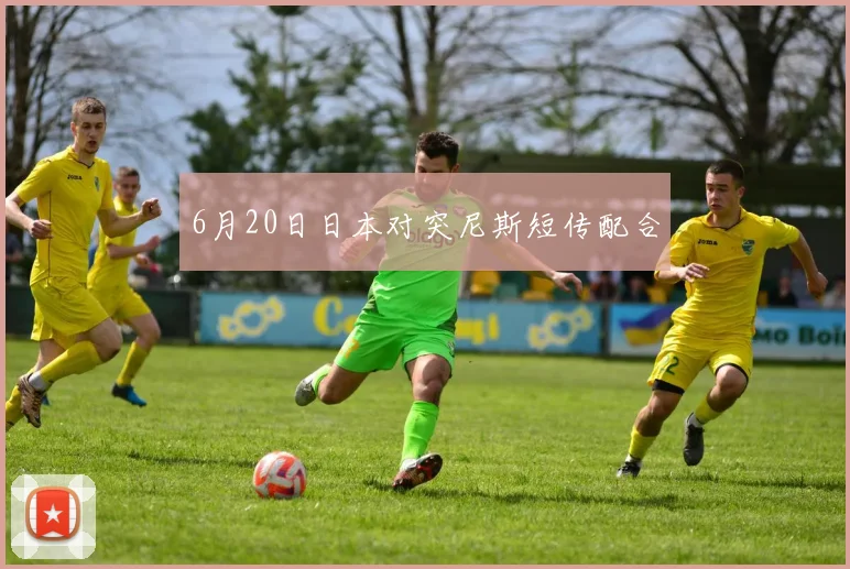6月20日日本对突尼斯短传配合