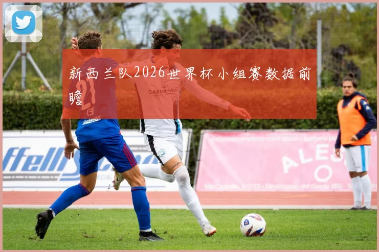 新西兰队2026世界杯小组赛数据前瞻