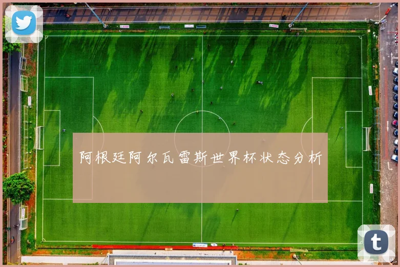 阿根廷阿尔瓦雷斯世界杯状态分析
