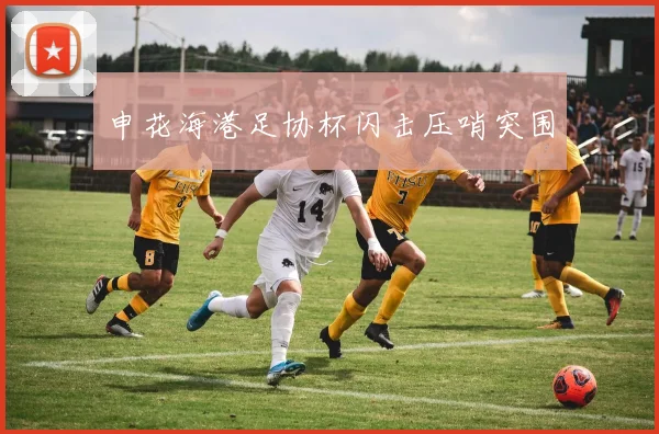 申花海港足协杯闪击压哨突围