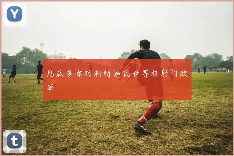 厄瓜多尔对科特迪瓦世界杯射门效率