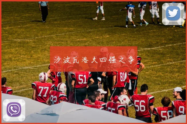 沙波瓦洛夫四强之争