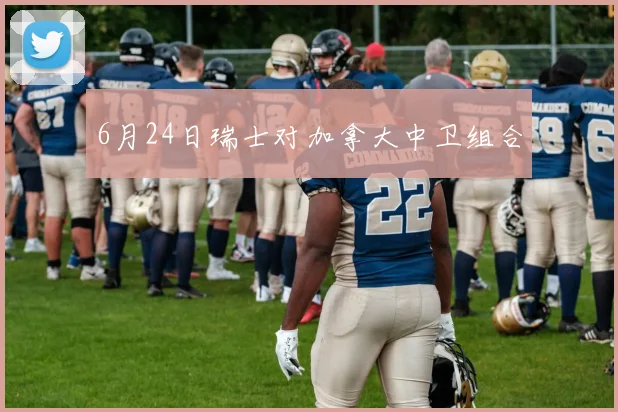 6月24日瑞士对加拿大中卫组合