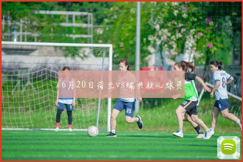 6月20日荷兰vs瑞典核心球员
