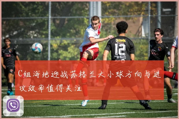 C组海地迎战苏格兰大小球方向与进攻效率值得关注